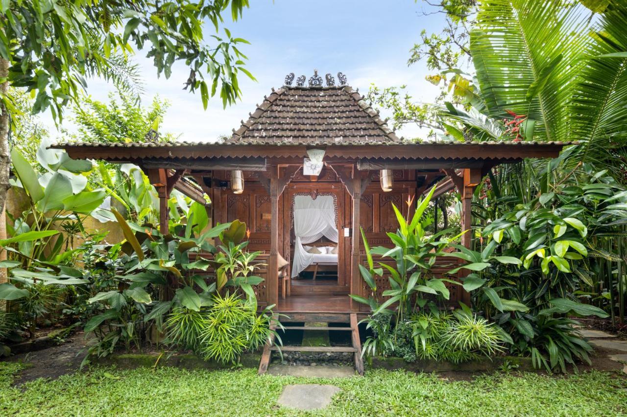Wooden Suite with  Pool Access
